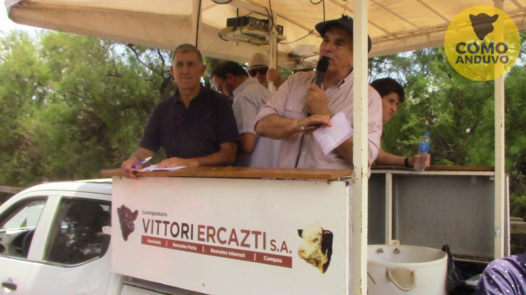 Vittori-Ercazti SA.